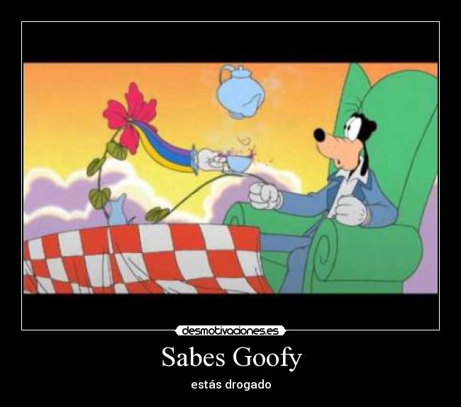 Sabes Goofy - estás drogado