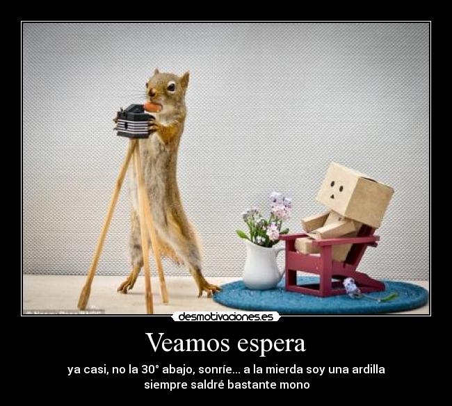 Veamos espera - ya casi, no la 30° abajo, sonríe... a la mierda soy una ardilla
siempre saldré bastante mono
