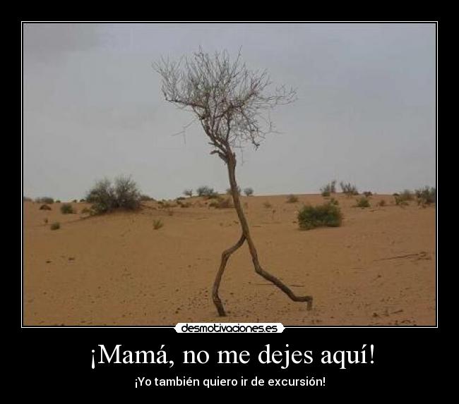 ¡Mamá, no me dejes aquí! -