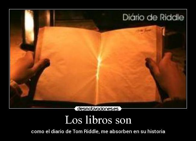 carteles libros voldemort tom riddle historia harry potter desmotivaciones