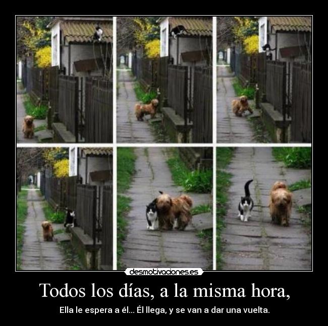 Todos los días, a la misma hora, - Ella le espera a él... Él llega, y se van a dar una vuelta.