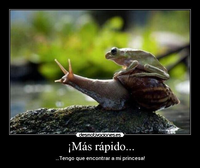 ¡Más rápido... - ...Tengo que encontrar a mi princesa!