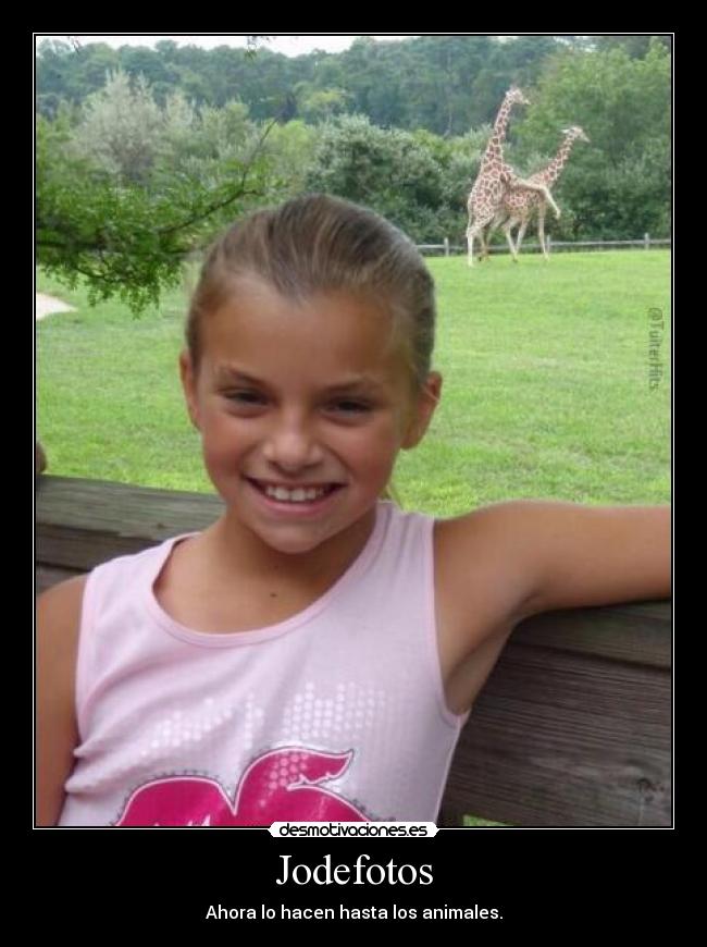 Jodefotos - Ahora lo hacen hasta los animales.