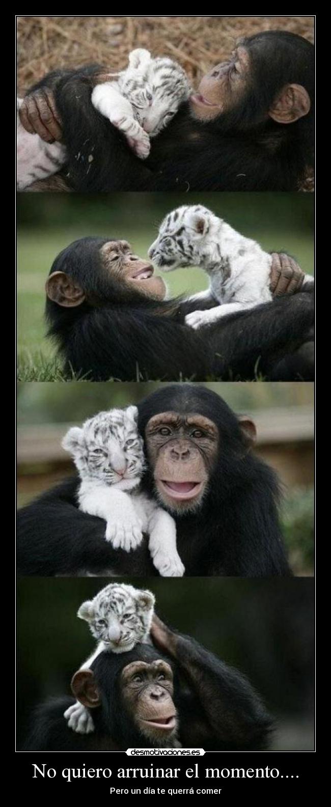 No quiero arruinar el momento.... - Pero un día te querrá comer