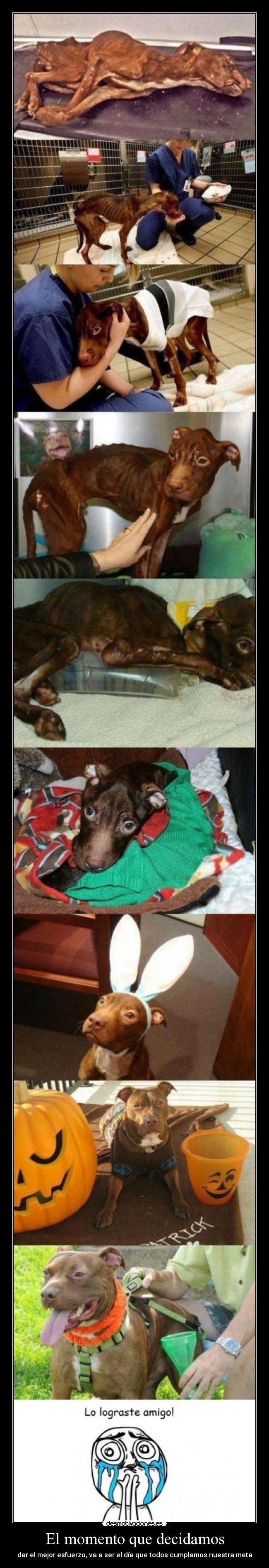 El momento que decidamos -