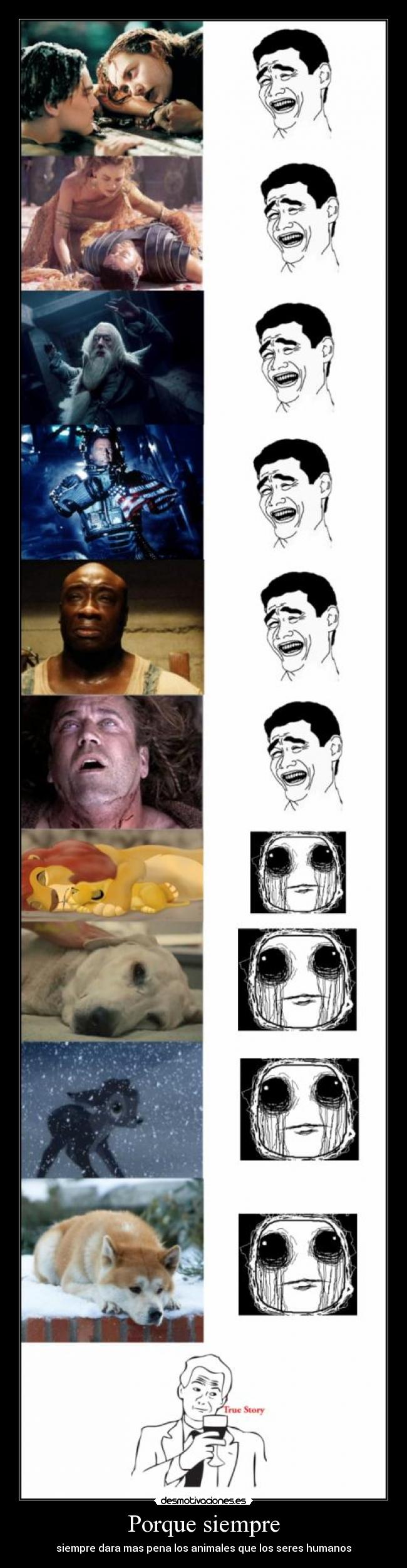Porque siempre - siempre dara mas pena los animales que los seres humanos