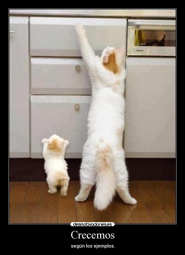 Crecemos - según los ejemplos.