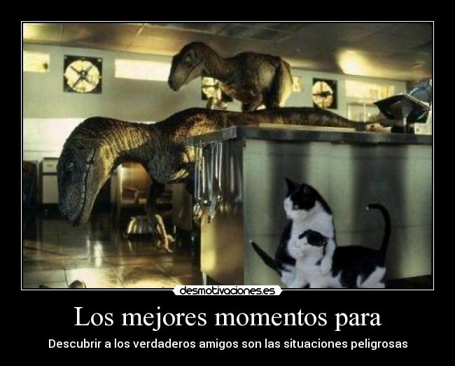 carteles jurasiccat desmotivaciones