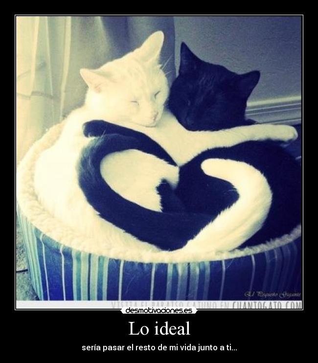 Lo ideal - 