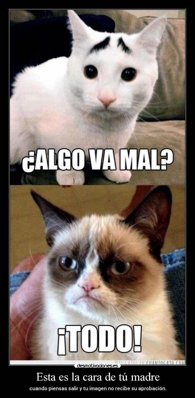 Esta es la cara de tú madre - cuando piensas salir y tu imagen no recibe su aprobación.