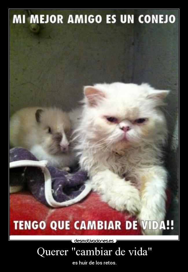 Querer cambiar de vida - es huir de los retos.