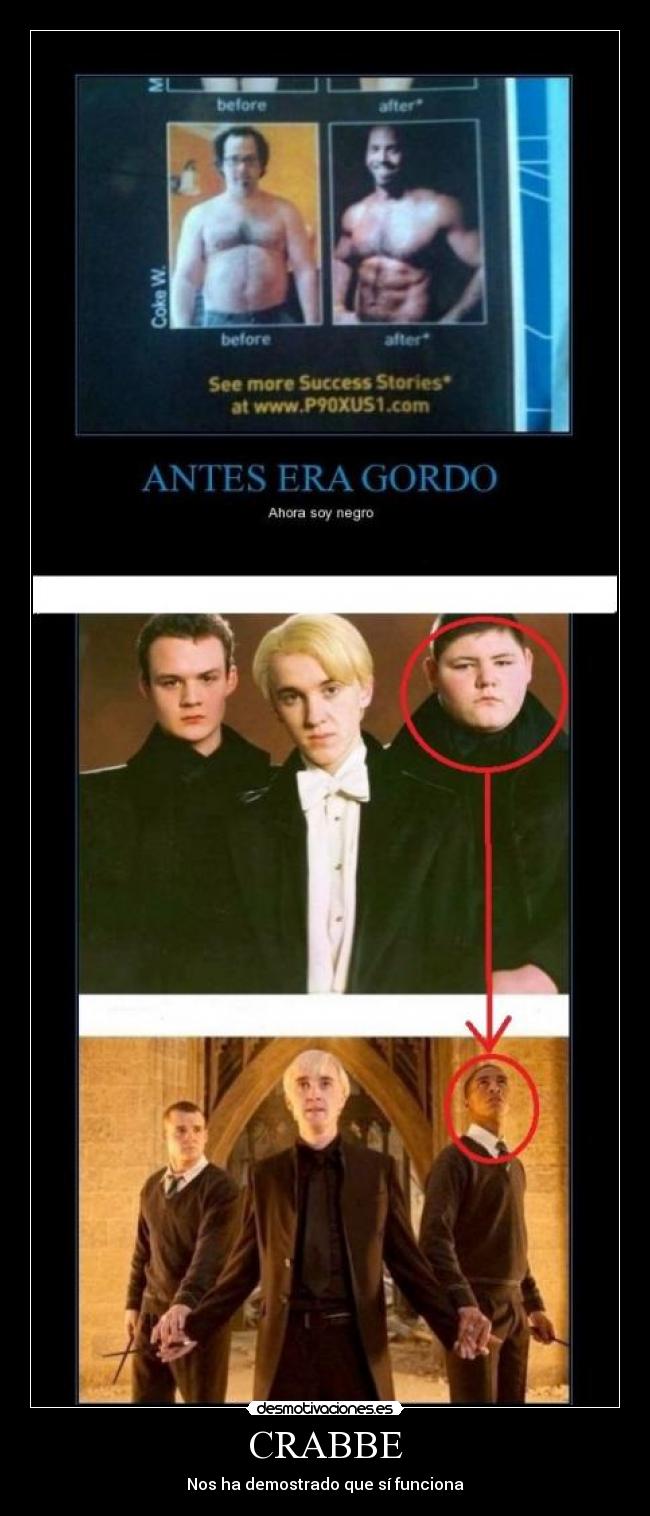 carteles harry potter desmotivaciones