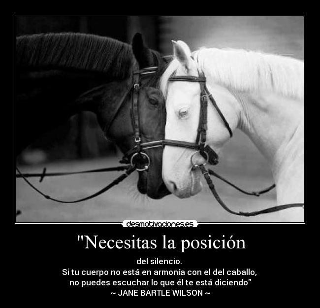 Necesitas la posición - del silencio. 
Si tu cuerpo no está en armonía con el del caballo, 
no puedes escuchar lo que él te está diciendo
~ JANE BARTLE WILSON ~