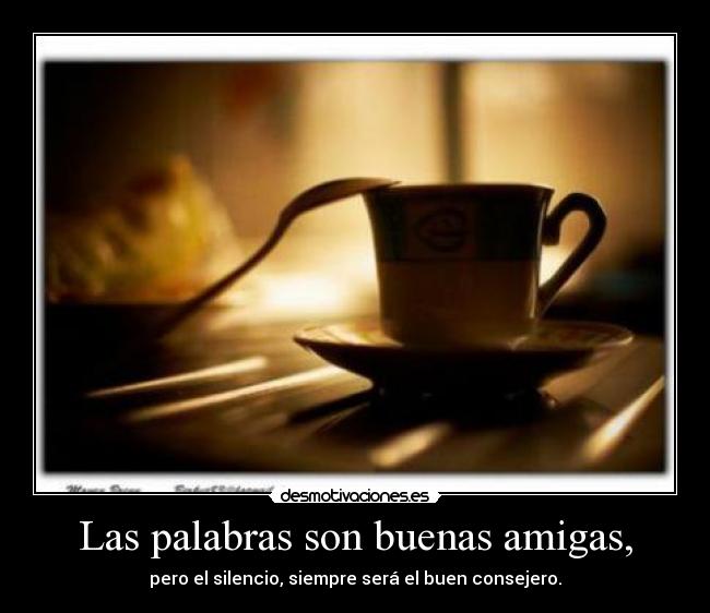 Las palabras son buenas amigas, - pero el silencio, siempre será el buen consejero.