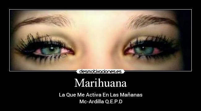 Marihuana - La Que Me Activa En Las Mañanas
Mc-Ardilla Q.E.P.D