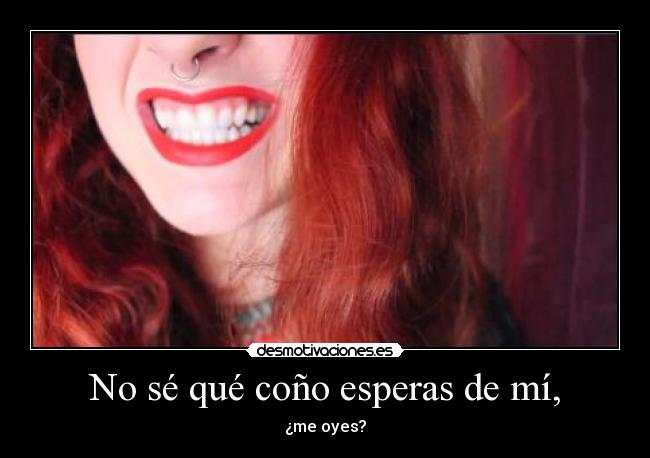 No sé qué coño esperas de mí, - ¿me oyes?