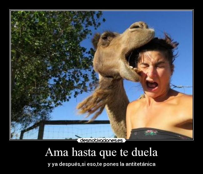 Ama hasta que te duela - y ya después,si eso,te pones la antitetánica