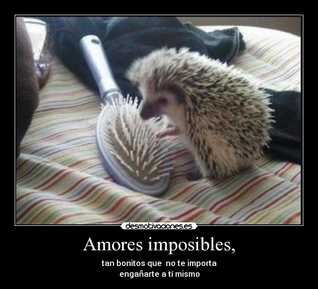 carteles amor con mayusculas desmotivaciones