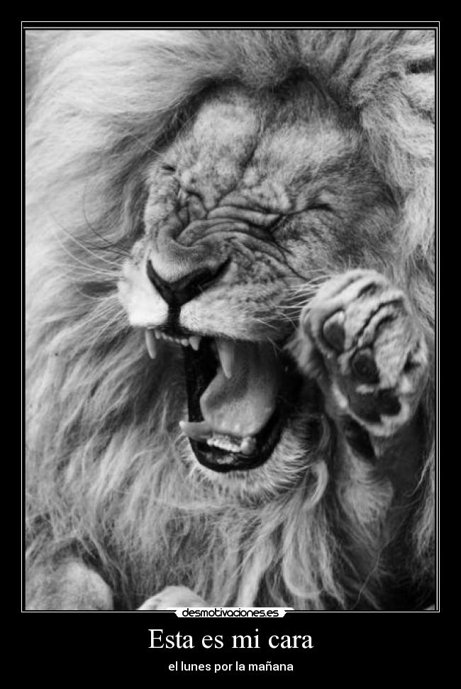 Esta es mi cara -
