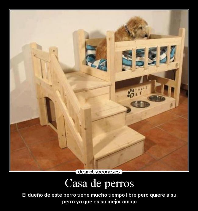 Casa de perros - El dueño de este perro tiene mucho tiempo libre pero quiere a su
perro ya que es su mejor amigo