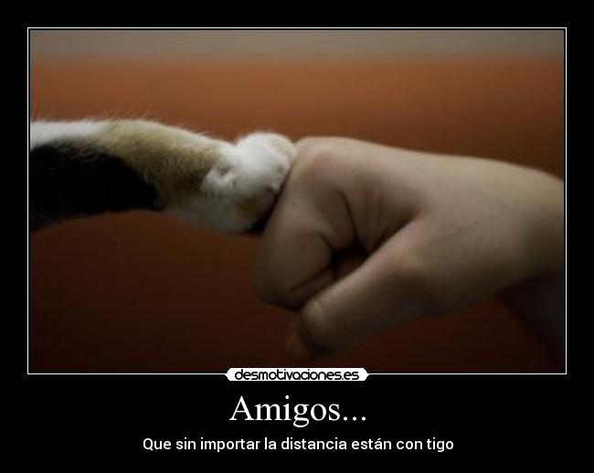 Amigos... -