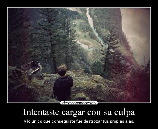 Intentaste cargar con su culpa -