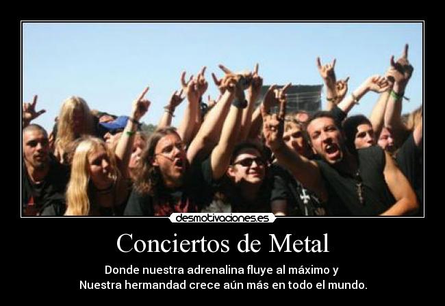 Conciertos de Metal - Donde nuestra adrenalina fluye al máximo y 
Nuestra hermandad crece aún más en todo el mundo.