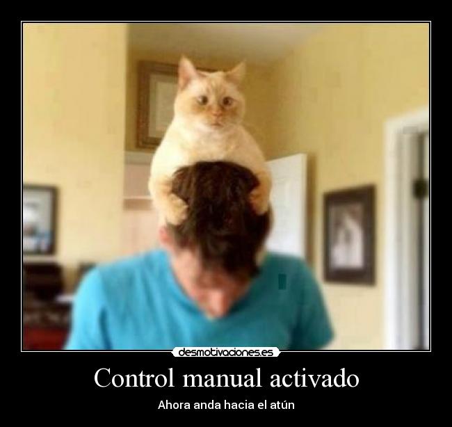 carteles lool desmotivaciones