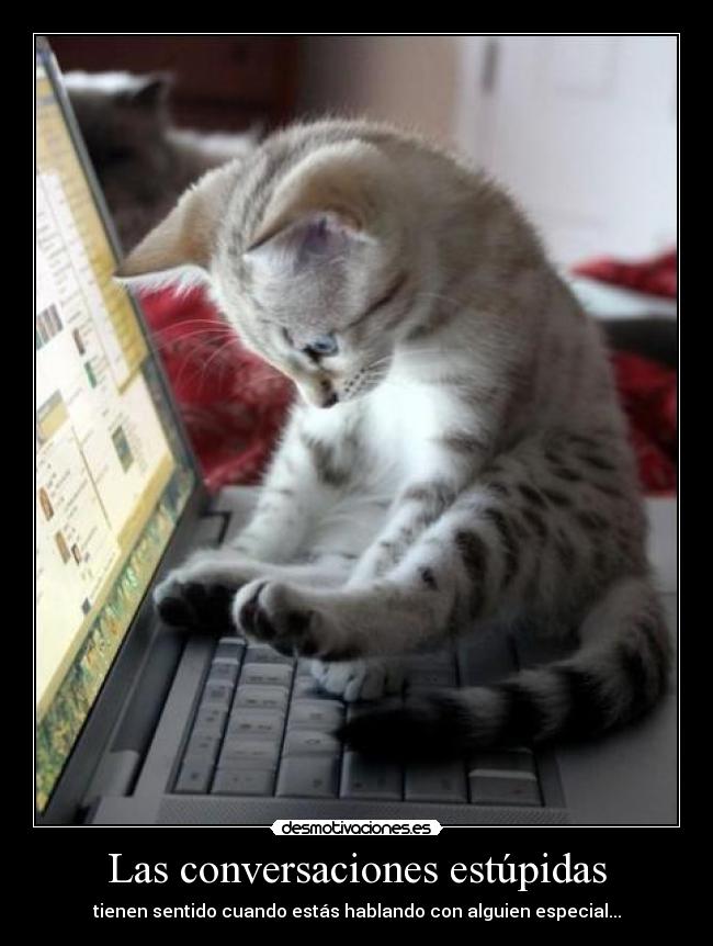 Las conversaciones estúpidas - tienen sentido cuando estás hablando con alguien especial...