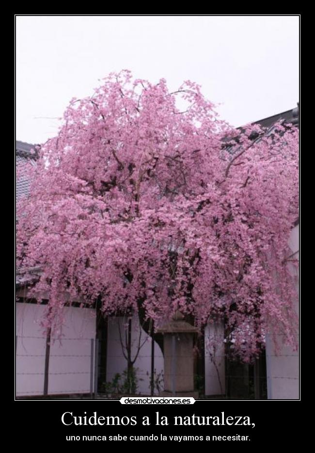 Cuidemos a la naturaleza, - uno nunca sabe cuando la vayamos a necesitar.