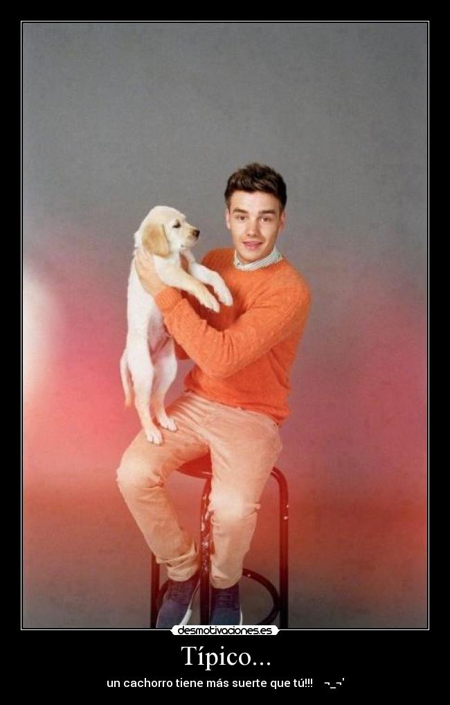 Típico... - un cachorro tiene más suerte que tú!!!    ¬_¬