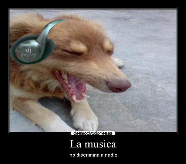 carteles musica music desmotivaciones