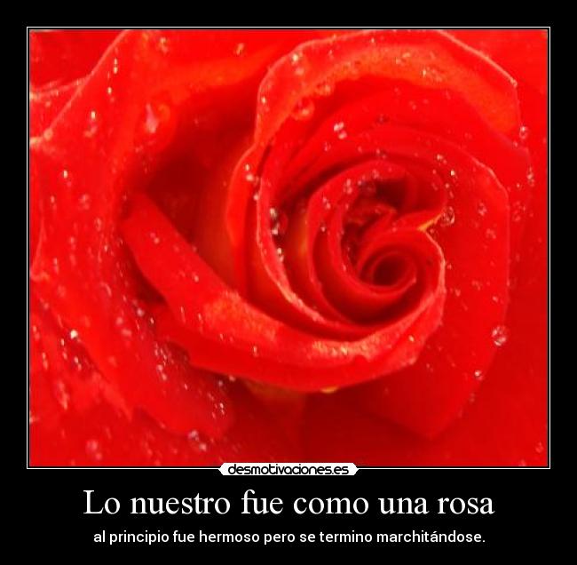 Lo nuestro fue como una rosa - al principio fue hermoso pero se termino marchitándose.