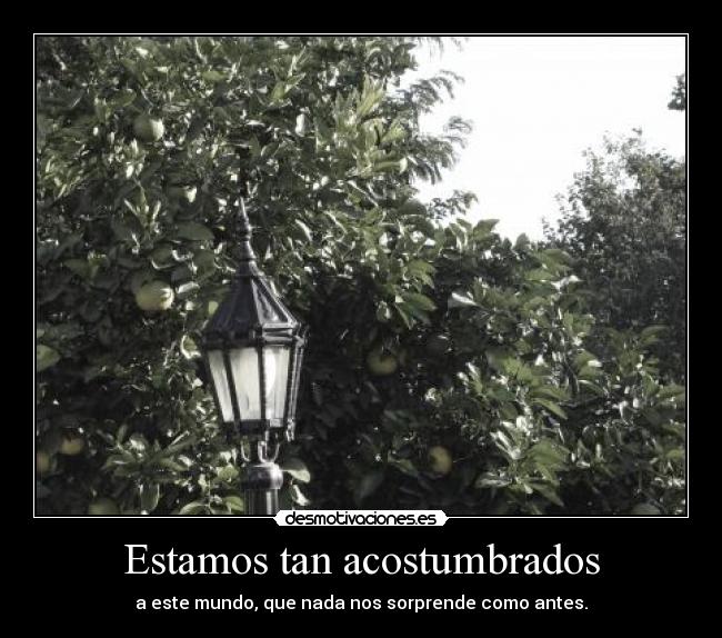 Estamos tan acostumbrados - 