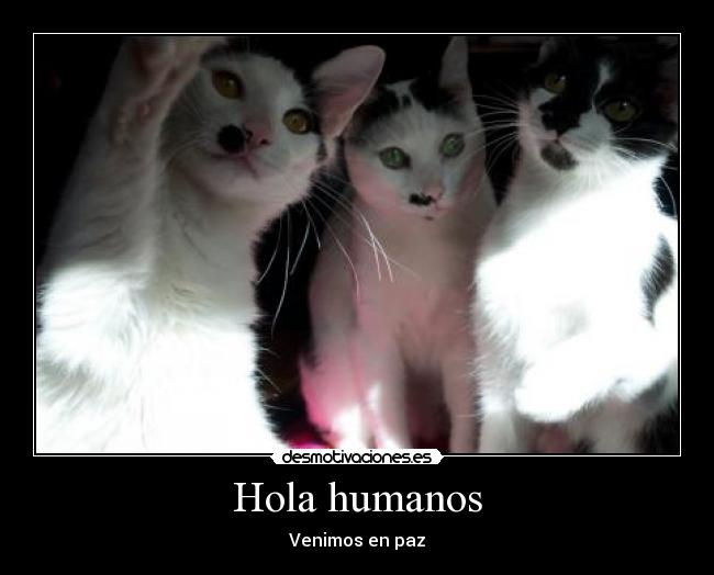 Hola humanos -