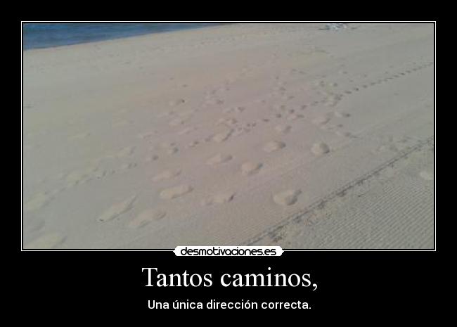 Tantos caminos, - Una única dirección correcta.