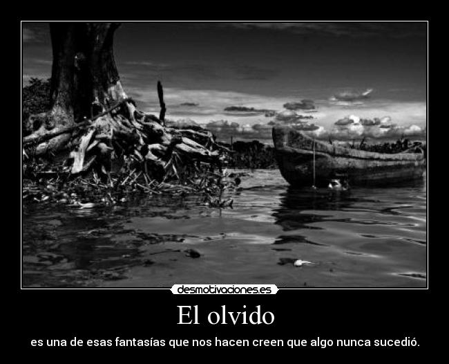 El olvido - 