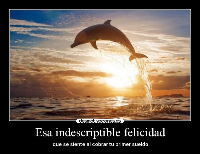 carteles felicidad esa indescriptible felicidad que siente desmotivaciones