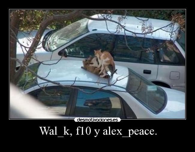 carteles walt f10 alex peace desmotivaciones