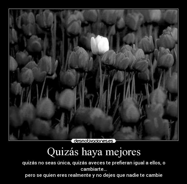Quizás haya mejores - quizás no seas única, quizás aveces te prefieran igual a ellos, o cambiarte...
pero se quien eres realmente y no dejes que nadie te cambie