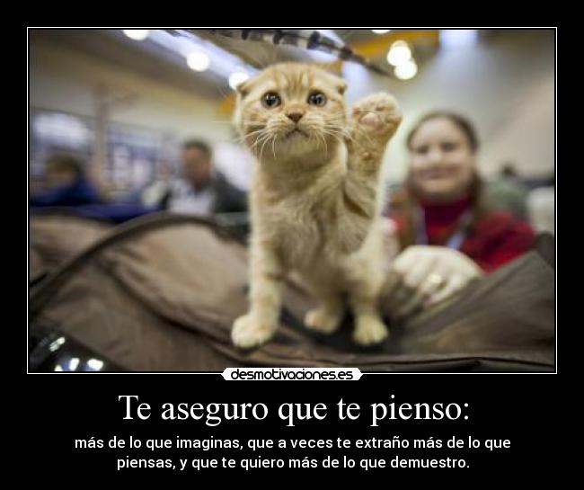 Te aseguro que te pienso: - más de lo que imaginas, que a veces te extraño más de lo que
piensas, y que te quiero más de lo que demuestro.