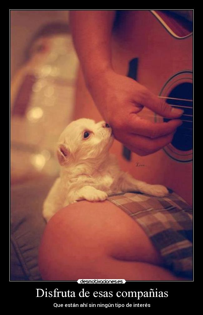 Disfruta de esas compañias -