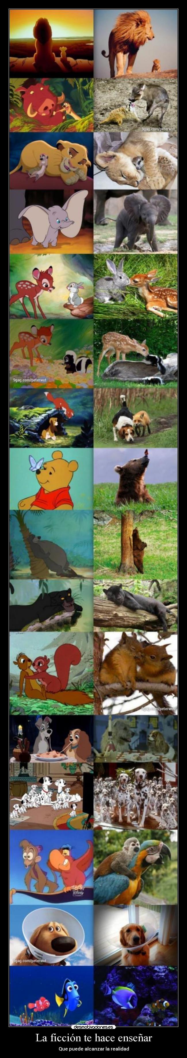 La ficción te hace enseñar - Que puede alcanzar la realidad