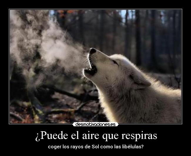 ¿Puede el aire que respiras -