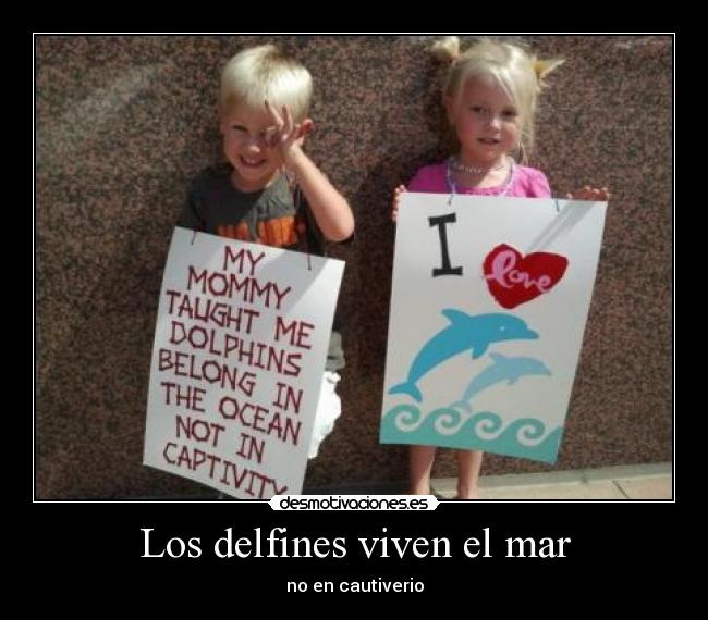 Los delfines viven el mar - no en cautiverio