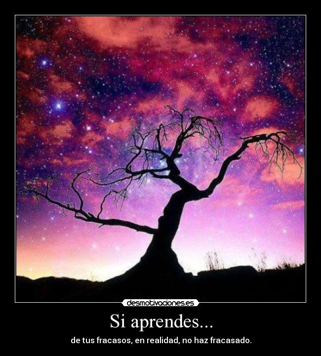 Si aprendes... - de tus fracasos, en realidad, no haz fracasado.