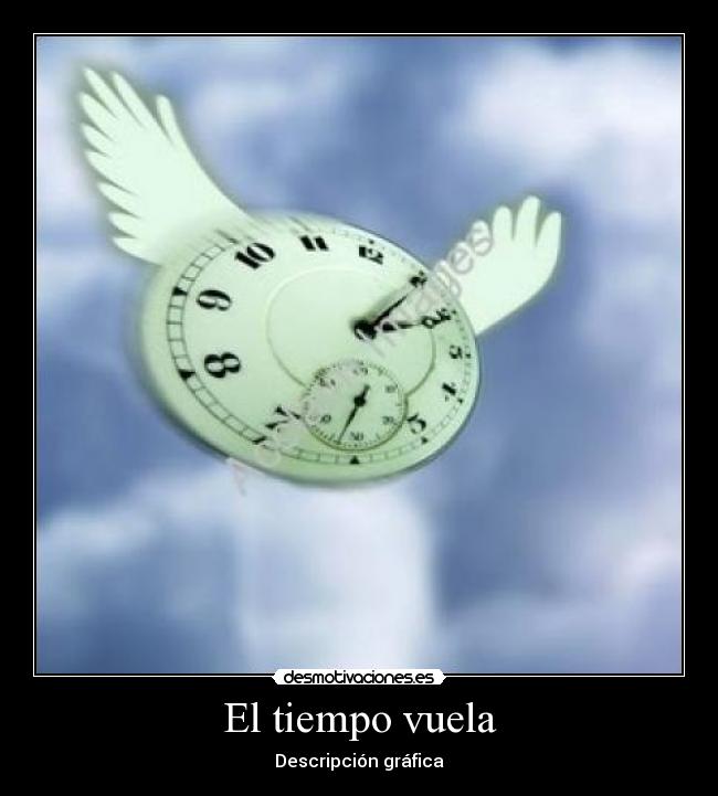 El tiempo vuela - Descripción gráfica