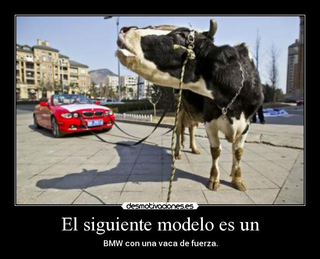 carteles jajajajajajajja vaca fuerza joker smile desmotivaciones