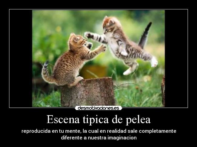 Escena tipica de pelea - 