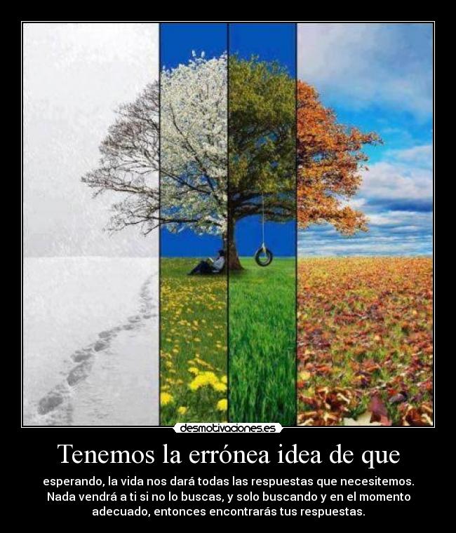 Tenemos la errónea idea de que - esperando, la vida nos dará todas las respuestas que necesitemos.
Nada vendrá a ti si no lo buscas, y solo buscando y en el momento
adecuado, entonces encontrarás tus respuestas.
